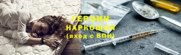 индика Алексин