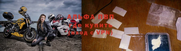 индика Алексин