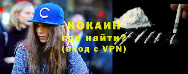 индика Алексин