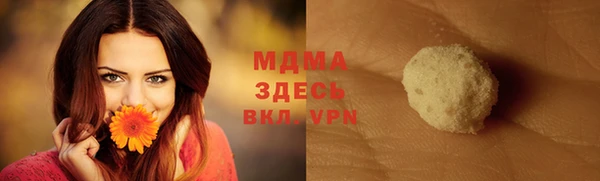 индика Алексин