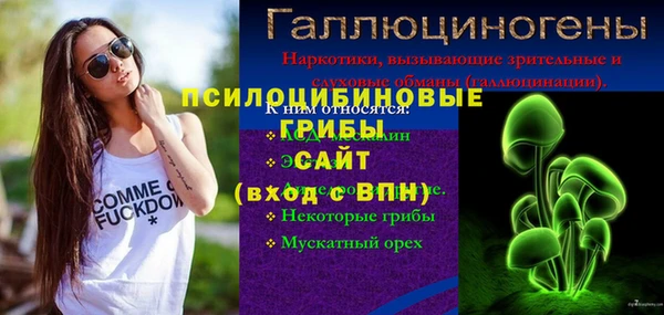 индика Алексин
