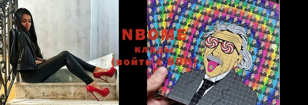 индика Алексин