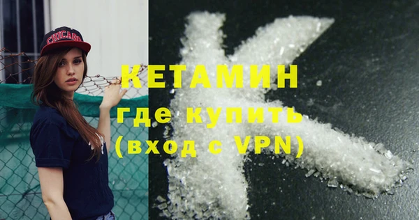 индика Алексин