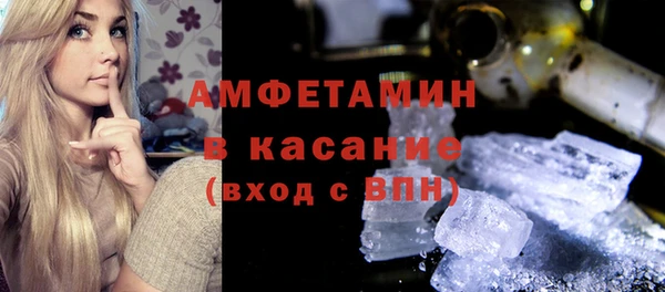 индика Алексин