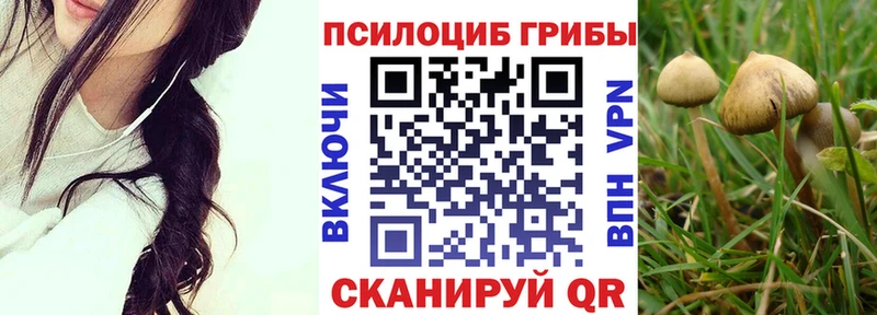 Галлюциногенные грибы ЛСД  Уссурийск 